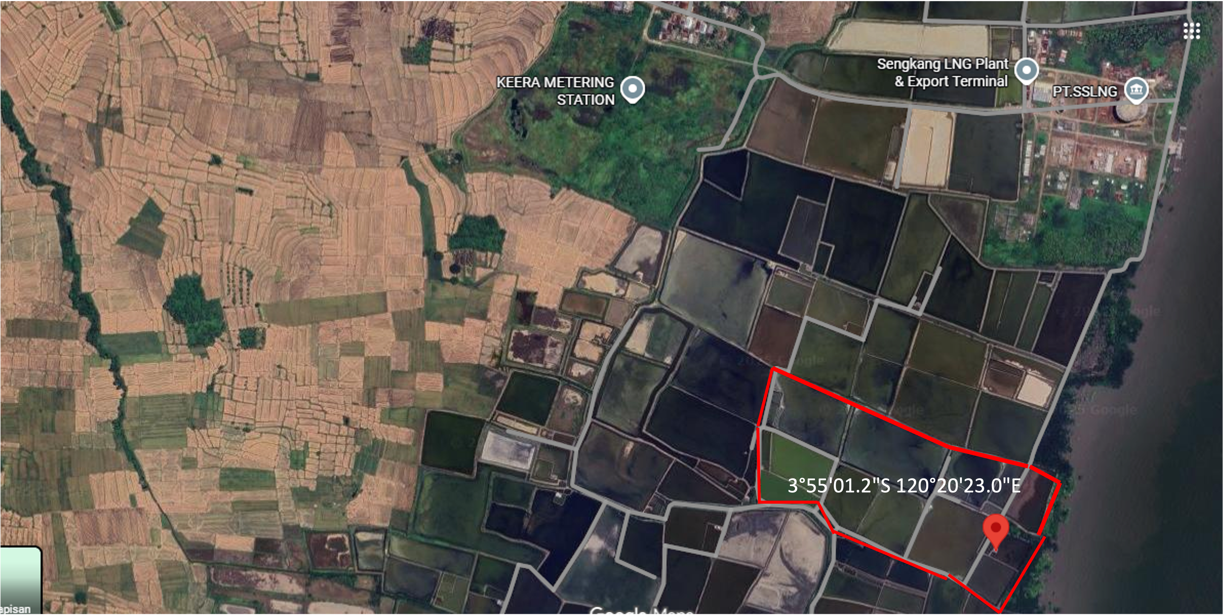 Wajo Green Petrochemical Background