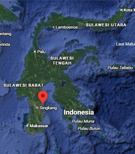 Wajo Green Petrochemical